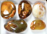 Lot: lbs Colorful, Polished Carnelian Agate - Pieces #91850-1